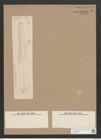 Navicula nobilis (Ehr.) Kuetz. (de-Toni-Nr.: Genus 1, Species 1) Zeichnungen Sammlung Grunow Nr. 5 (NHMW-BOT-W0366186)
